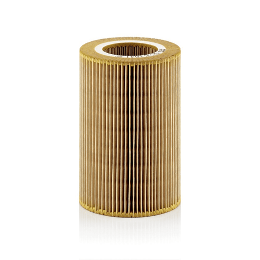 Filtru aer MANN (C1041)