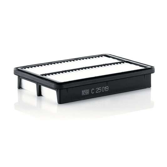 Filtru aer MANN (C25019)
