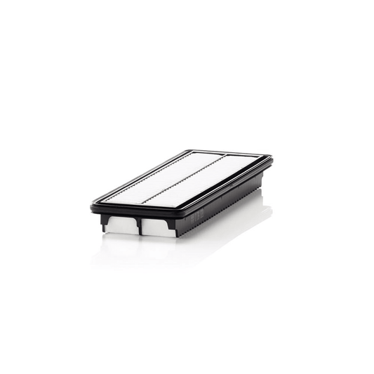 Filtru aer MANN (C36020)