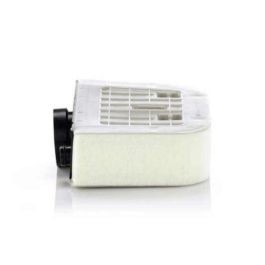 Filtru aer MANN (C38011)