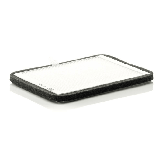 Filtru Habitaclu MANN (CU2424)