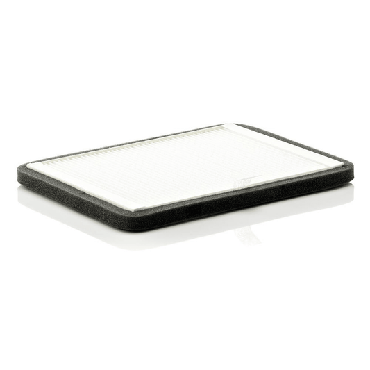 Filtru Habitaclu MANN (CUK2424)